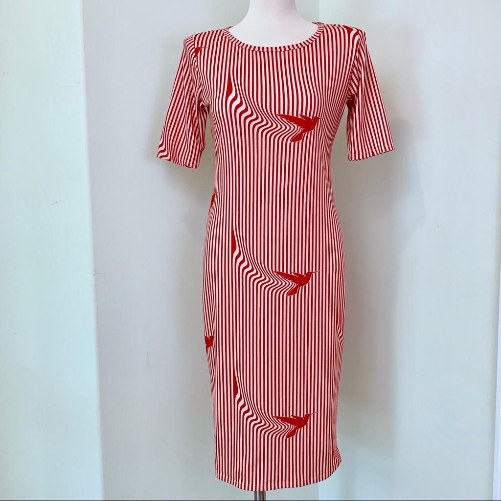 Super Rare Hummingbird Dress Nwot